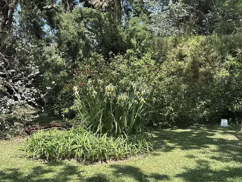 San Francisco .