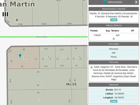 LOTE INDUSTRIAL ESQUINA  425MTS