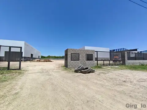 Darwin Passaponti 4600 100