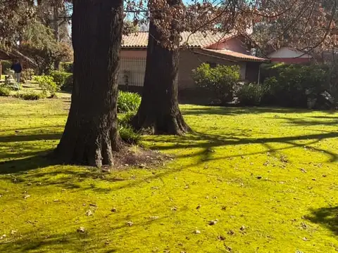 Mariano Acosta y El Gorrion 200