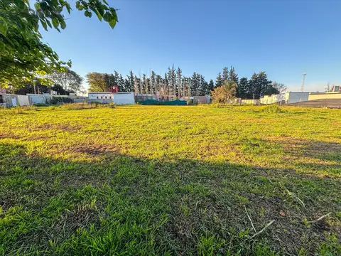 Terreno en Venta 43  mts Frente