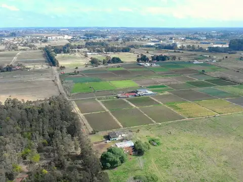 Camino de los Horneros