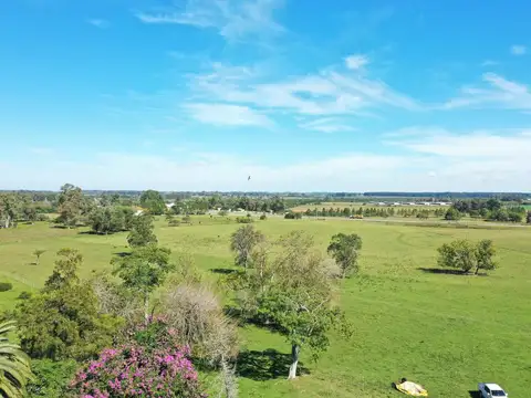 Campo sobre Autopista Ruta 14 Colón Entre Ríos
