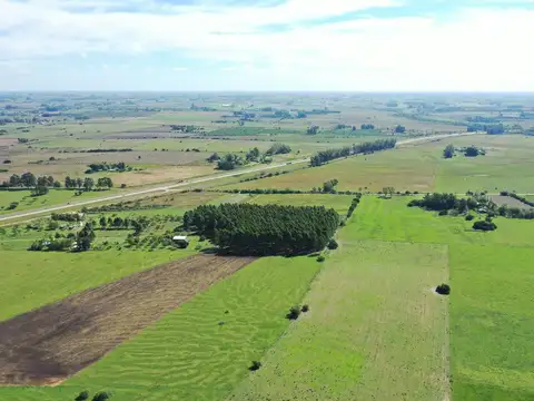 Campo sobre Autopista Ruta 14 Colón Entre Ríos