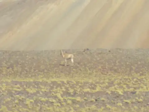 Departamento de Iglesia, Provincia de San Juan, Argentina