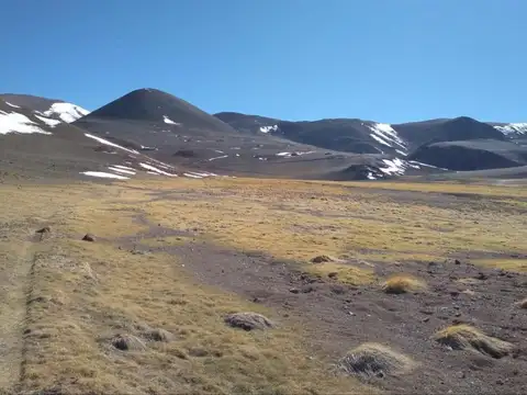 Importante Campo en Departamento de Iglesia, Provincia de San Juan, Argentina.