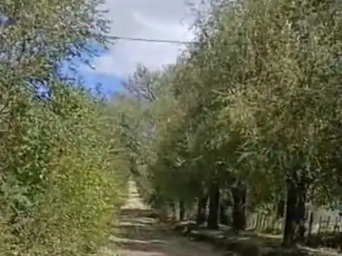 Terreno en Venta de 1933,0 m2