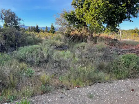 Terreno en Venta 15  mts Frente