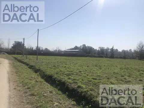 Terreno en Venta en 409/139 Y 141 BUONA TERRA Villa Elisa - Alberto Dacal Propiedades