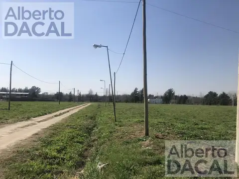 409/139 Y 141 BUONA TERRA