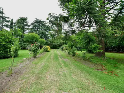 Calle 515 esquina 214 100