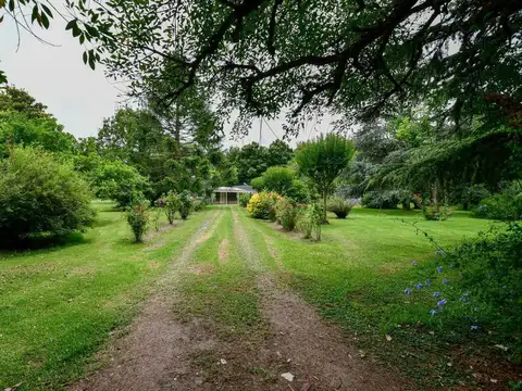 Casa quinta c/ pileta cancha futbol parquizada