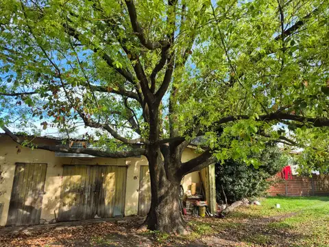 Casa en Venta 51 años