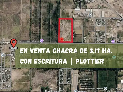 VENTA CHACRA DE TRES HECTAREAS EN PLOTTIER, NEUQUE