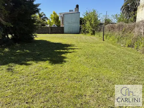 Antártida Argentina 500