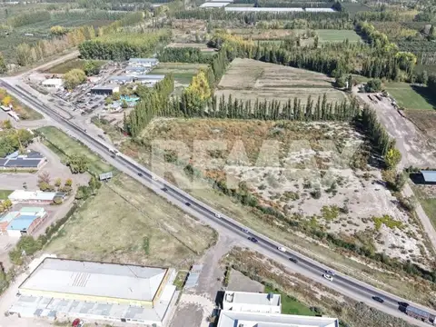 VENTA 3,7 HECTAREAS RUTA 22 ALLEN RIO NEGRO