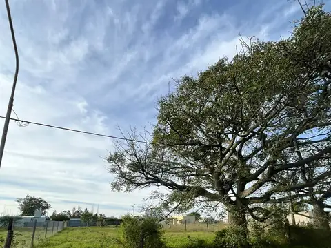 Terrenos en venta en Presidente Roca