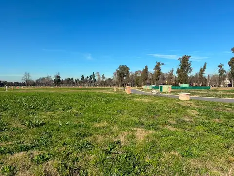 Terreno en Venta de 617,0 m2