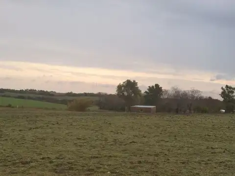 Campo en Venta con Alambrado