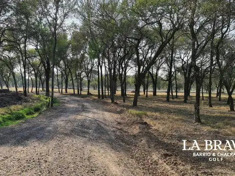 Terreno en Venta 30  mts Fondo