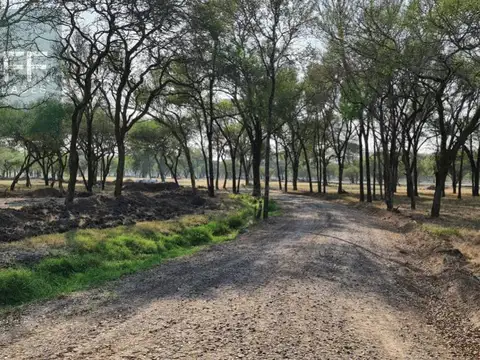 Terreno en Venta 30  mts Fondo