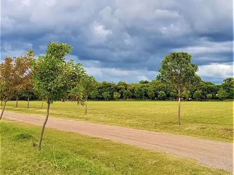 LOTE ESQUINA OPORTUNIDAD ZONA SUR TERRANOSTRA 2