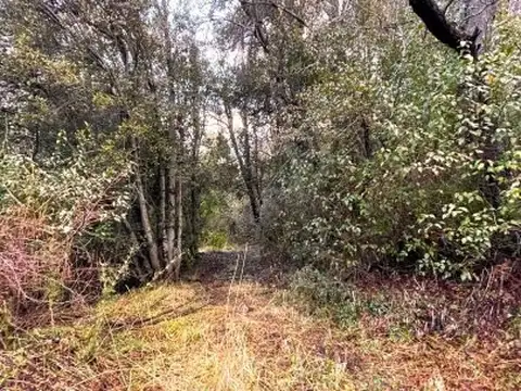 Terreno en Venta de 2041,0 m2