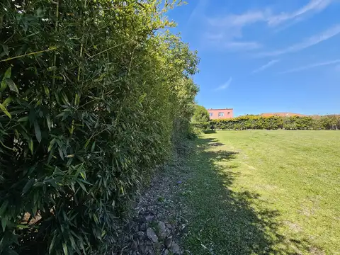 Terreno en Venta 36  mts Fondo