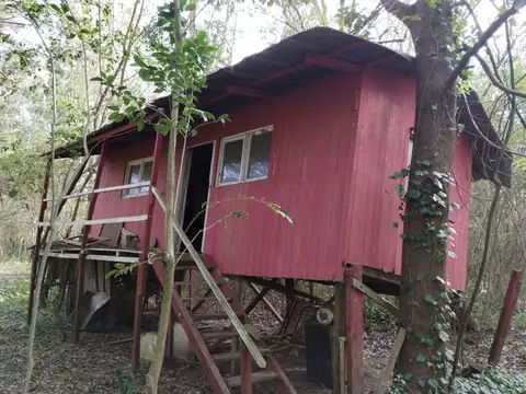 Rio / Arroyo Chaná 100