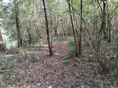 Rio / Arroyo Chaná 100
