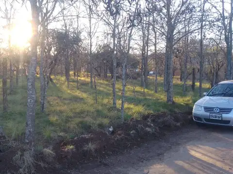Terreno en Venta de 455,0 m2