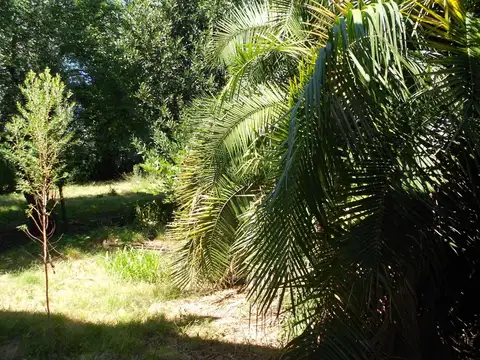 Terreno en Venta de 810,0 m2