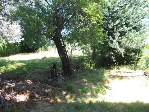 LOTE EN VENTA :: 810m2 :: ASFALTO :: CON GALPON DE 200m2