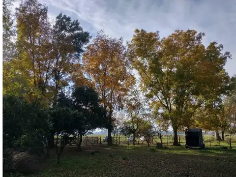 Ruta Prov N° 42 100