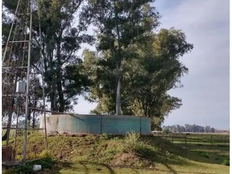 Campos en venta c/mejoras, Gral Las Heras (Bs As). L30003