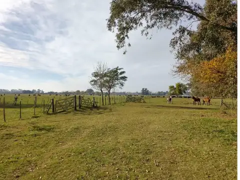 Ruta Prov N° 42 100