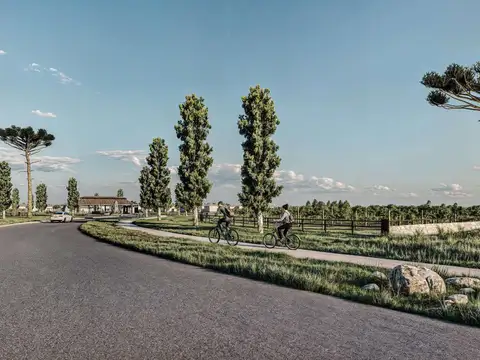 Terreno en Venta 21  mts Frente