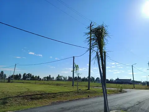 Terreno en Venta de 600,0 m2