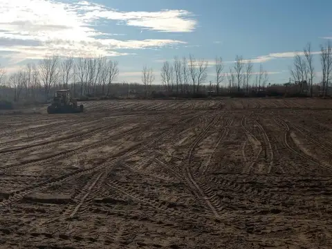 Terreno 1 Ha.