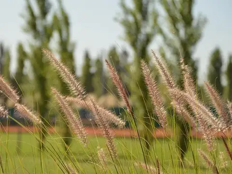 Terreno en Venta en San Roque, USD 38.000