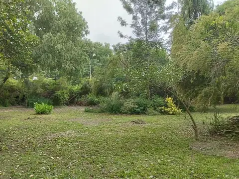 Muelle Sauce Viejo 642