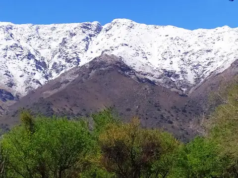 Campo en Venta de 76  ha