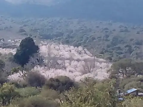 Campo en Venta Chacra