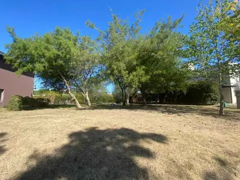 Terreno en Venta de 704,0 m2