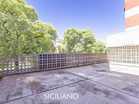 Local - San Telmo