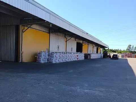 Galpon en Alquiler A Estrenar