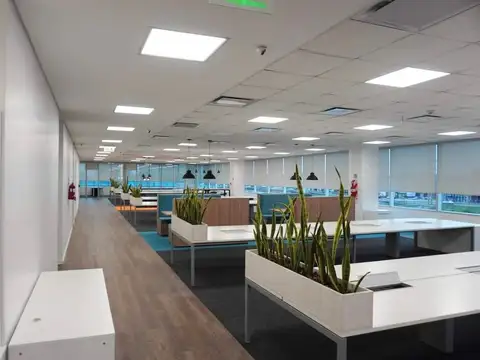 Alquiler oficina 500m2 Panamerica |Lumina Thames