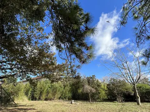 Avenida 4 y Paseo 138