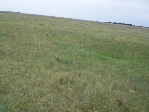 Campo ganadero en General Lavalle - SC728