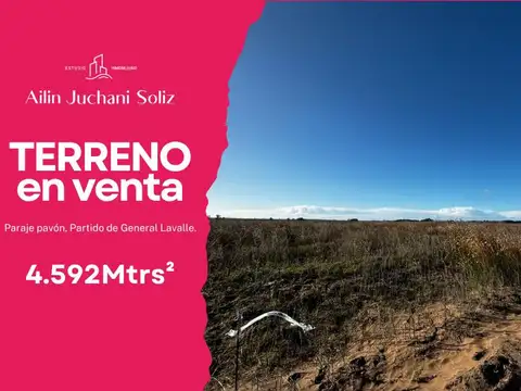 Campo en General Lavalle